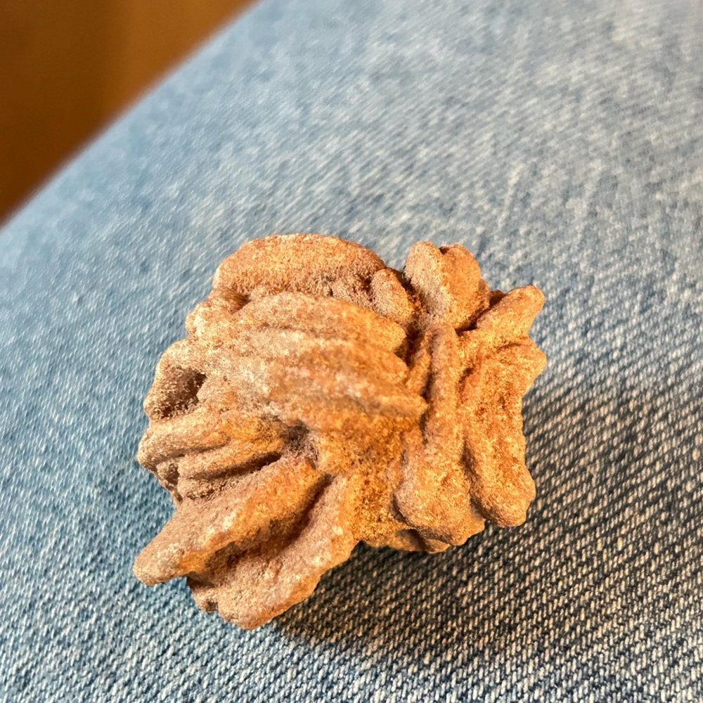 Unique Brown Desert Rose Stone